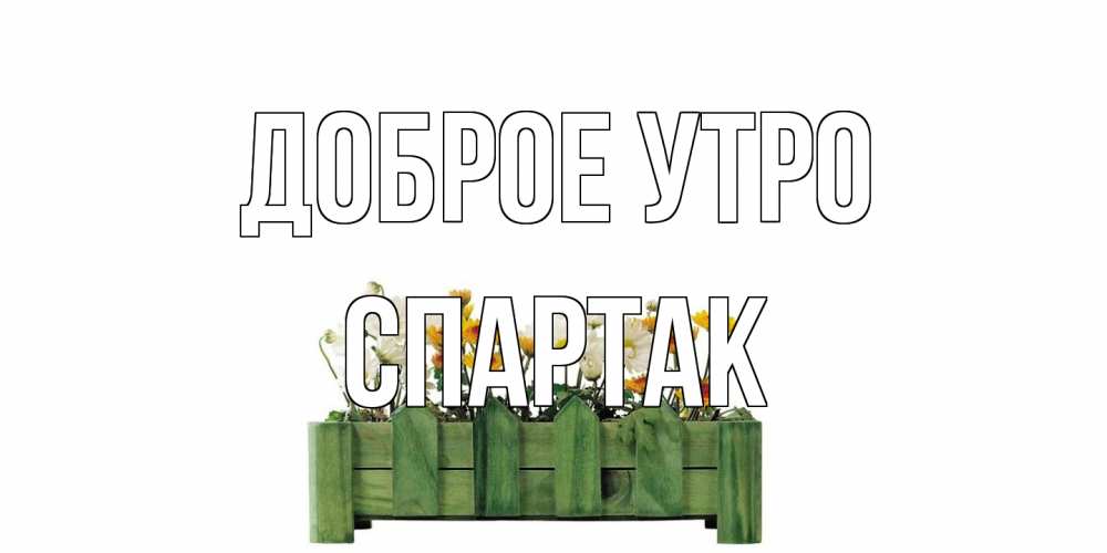 Открытка на каждый день с именем, Спартак Доброе утро цветы Прикольная открытка с пожеланием онлайн скачать бесплатно 