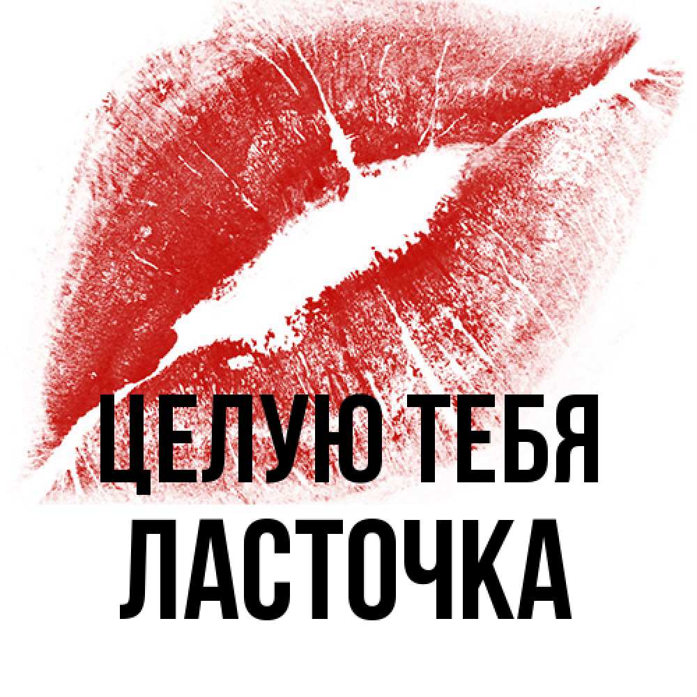 Открытка на каждый день с именем, Ласточка Целую тебя открытка с пожеланием поцелуя Прикольная открытка с пожеланием онлайн скачать бесплатно 