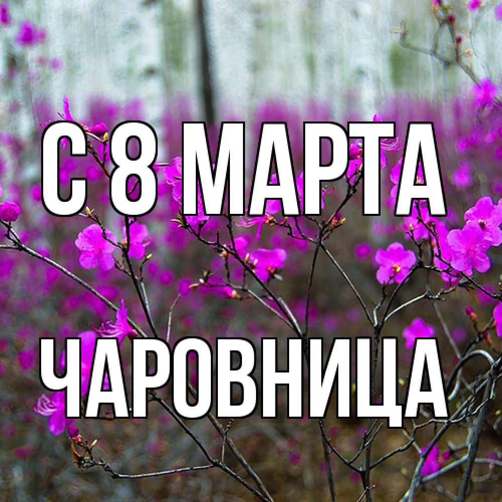 Открытка на каждый день с именем, чаровница C 8 МАРТА дикие цветы Прикольная открытка с пожеланием онлайн скачать бесплатно 