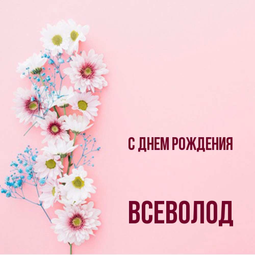 Открытка на каждый день с именем, Всеволод С днем рождения Родная моя с днем рождения тебя картинка с цветами белыми и голубыми Прикольная открытка с пожеланием онлайн скачать бесплатно 
