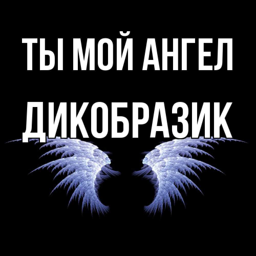 Открытка на каждый день с именем, дикобразик Ты мой ангел ангельские крылья на черном фоне Прикольная открытка с пожеланием онлайн скачать бесплатно 