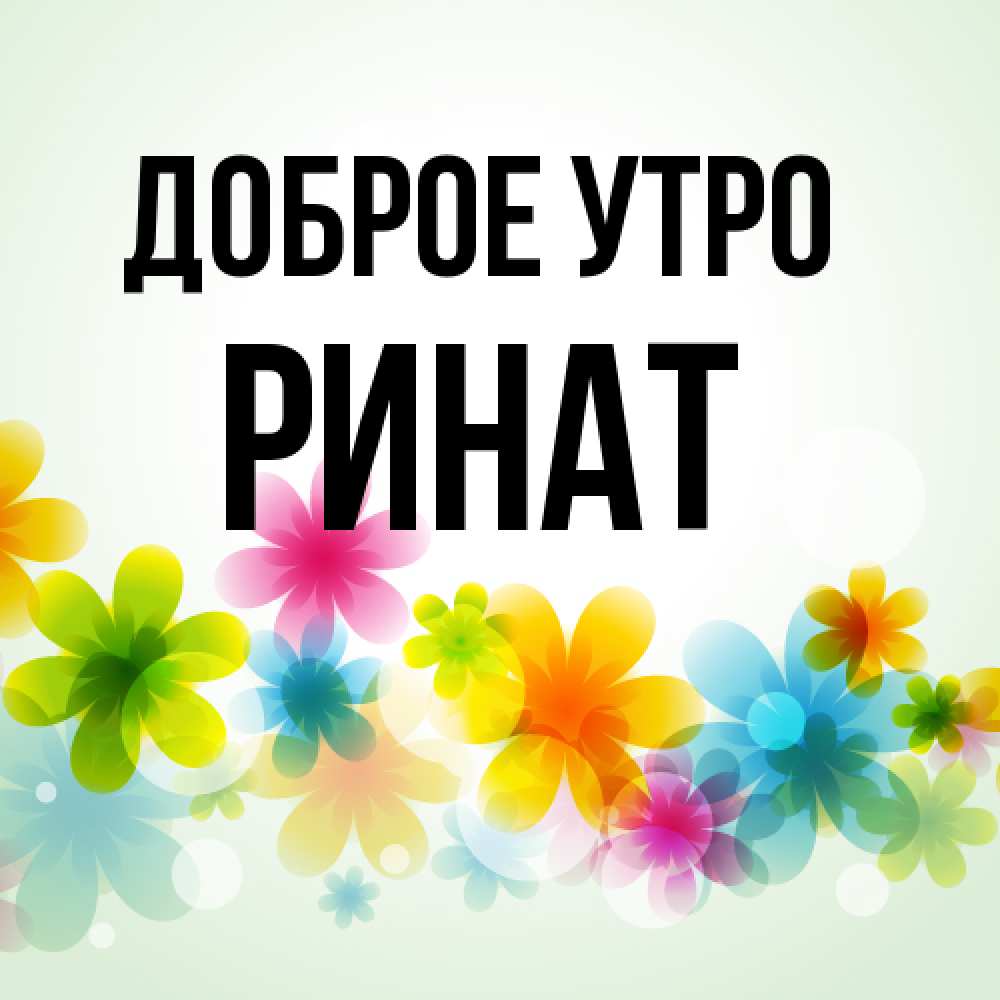 Открытка на каждый день с именем, Ринат Доброе утро позитивные цветочки Прикольная открытка с пожеланием онлайн скачать бесплатно 
