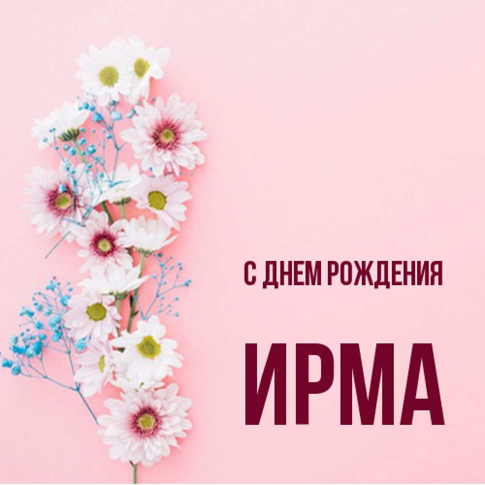 Открытка на каждый день с именем, Ирма С днем рождения Родная моя с днем рождения тебя картинка с цветами белыми и голубыми Прикольная открытка с пожеланием онлайн скачать бесплатно 