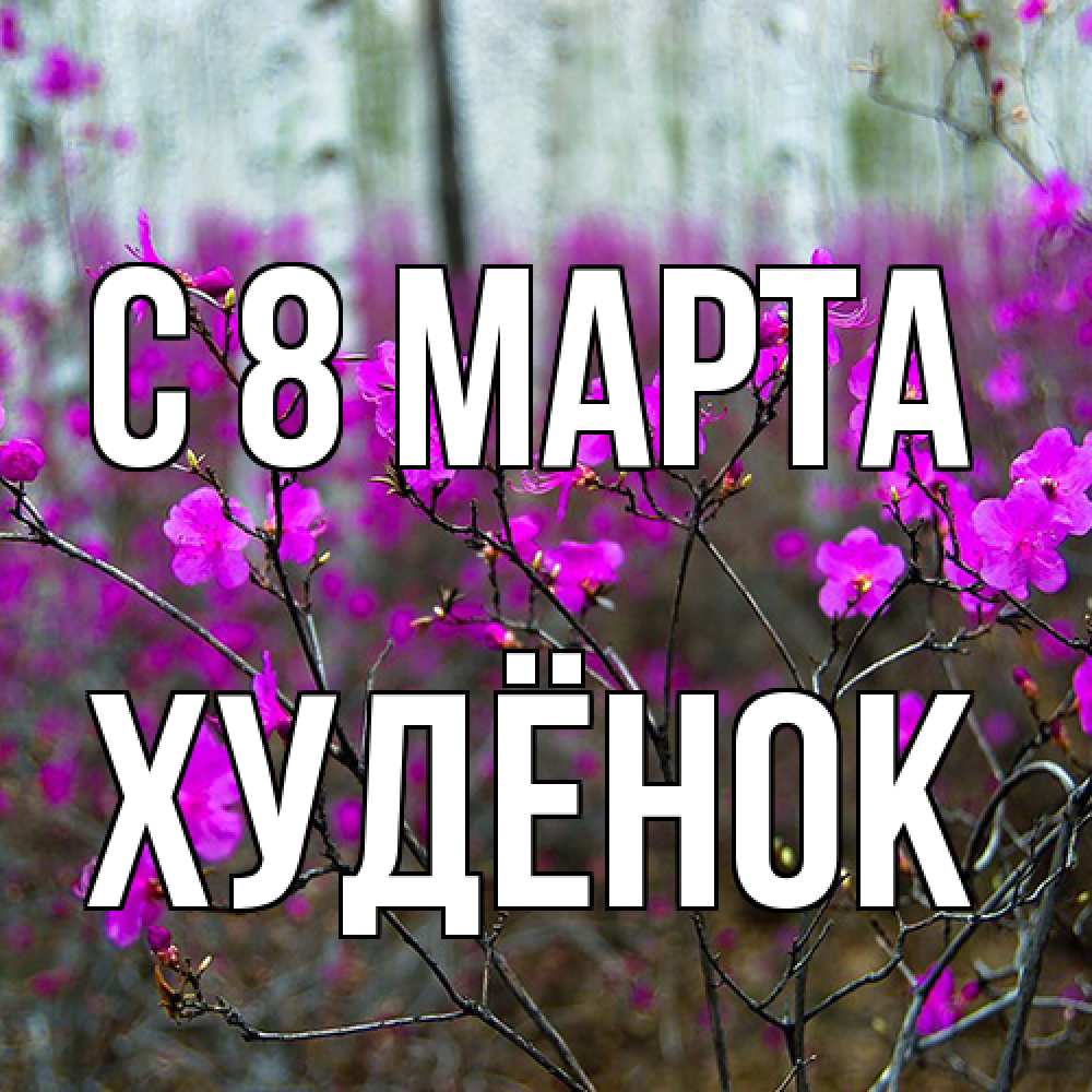 Открытка на каждый день с именем, худёнок C 8 МАРТА дикие цветы Прикольная открытка с пожеланием онлайн скачать бесплатно 