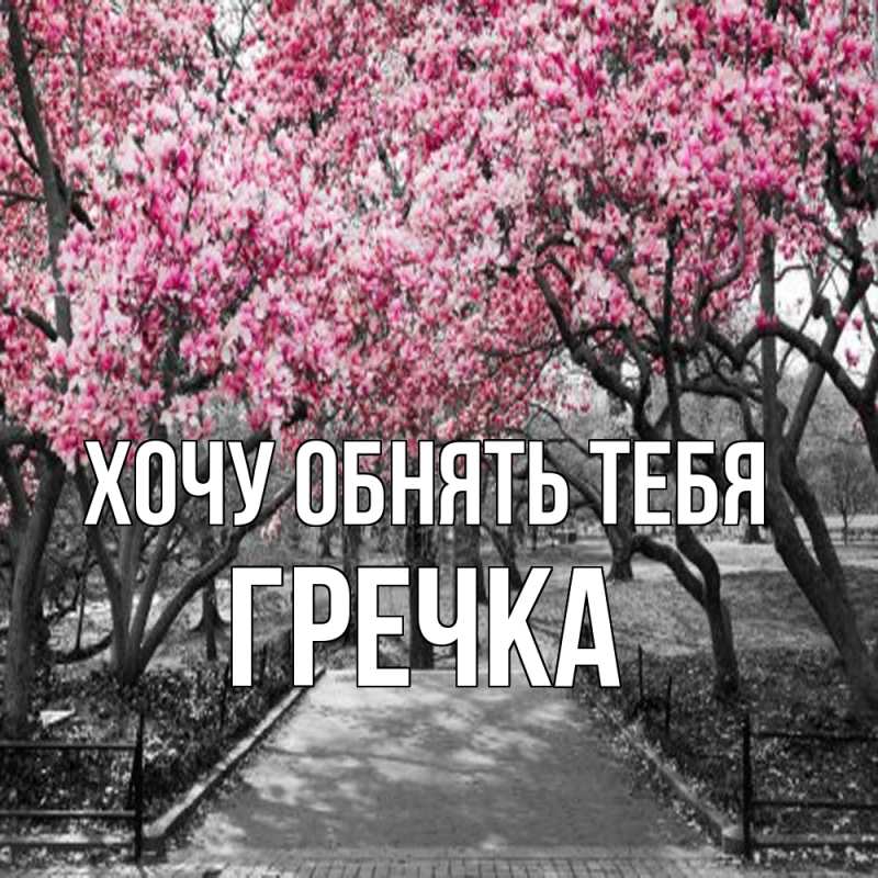 Картинка Хочу обнять тебя, Гречка