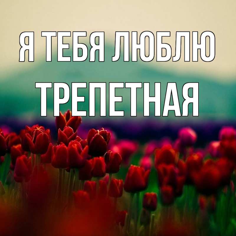 Картинка Я тебя люблю, Тpепетная