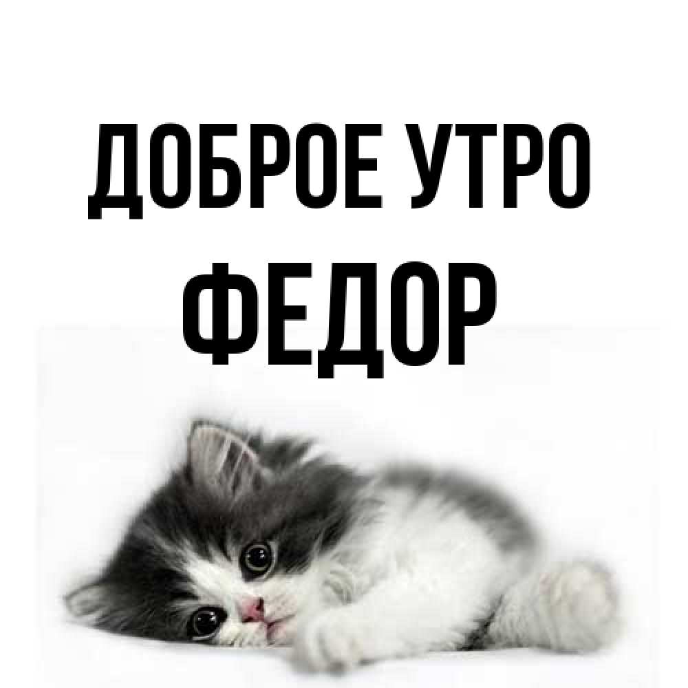 Открытка на каждый день с именем, Федор Доброе утро кот лапки Прикольная открытка с пожеланием онлайн скачать бесплатно 