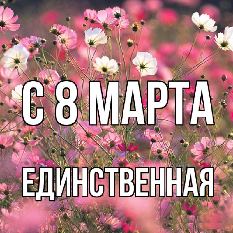 Картинка C 8 МАРТА, Единственная