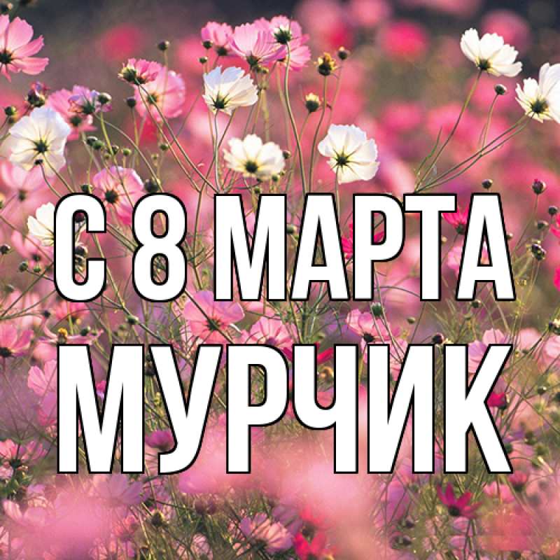 Картинка C 8 МАРТА, Мурчик