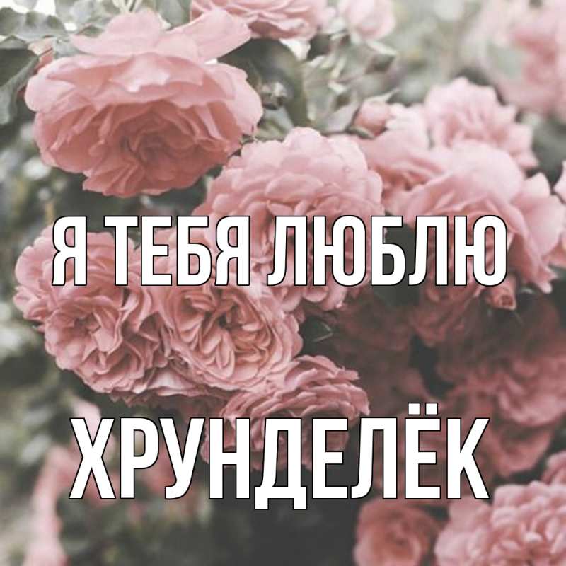 Картинка Я тебя люблю, Хрунделёк