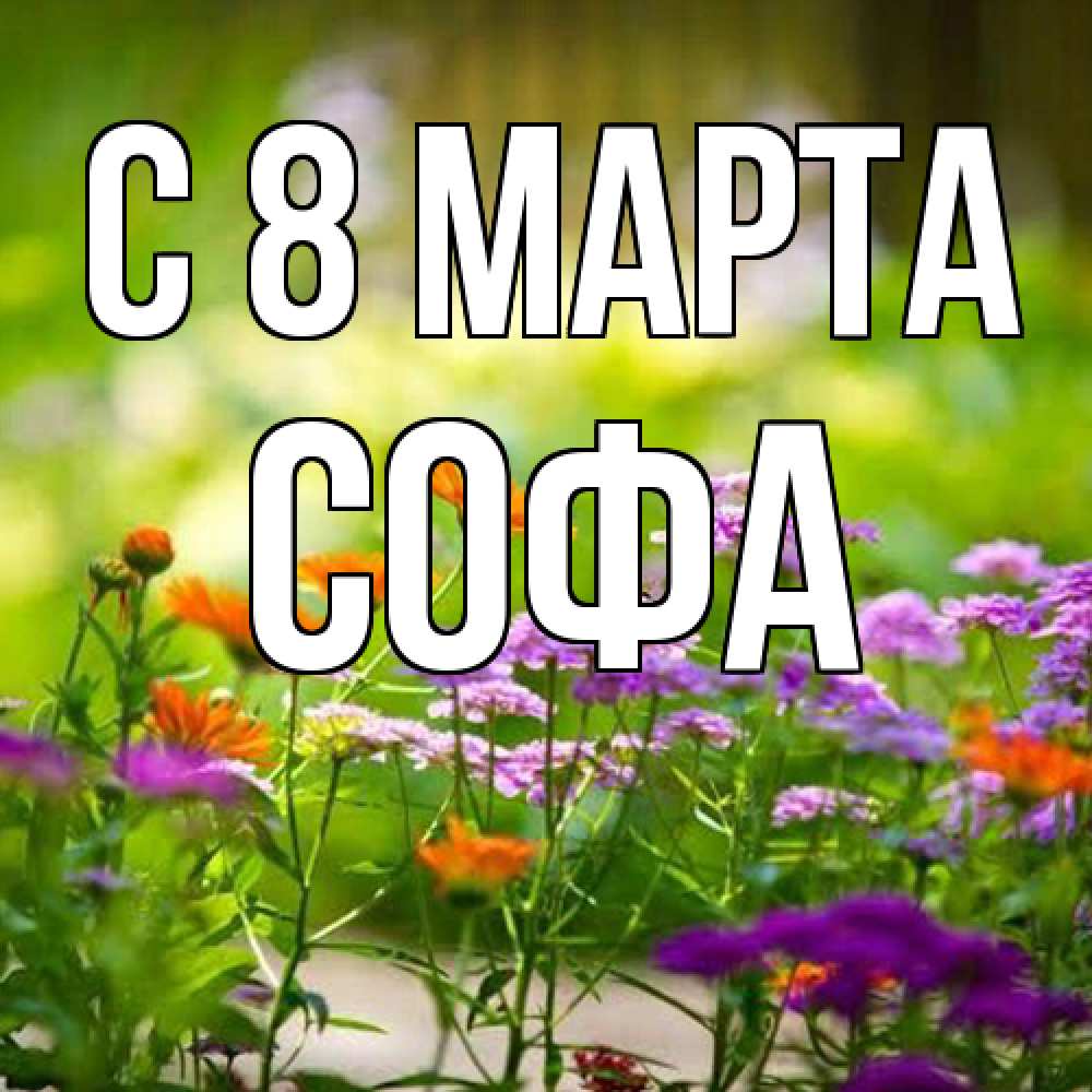 Открытка на каждый день с именем, Софа C 8 МАРТА цветы Прикольная открытка с пожеланием онлайн скачать бесплатно 