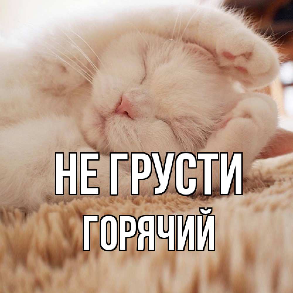 Открытка на каждый день с именем, Горячий Не грусти белый кот Прикольная открытка с пожеланием онлайн скачать бесплатно 