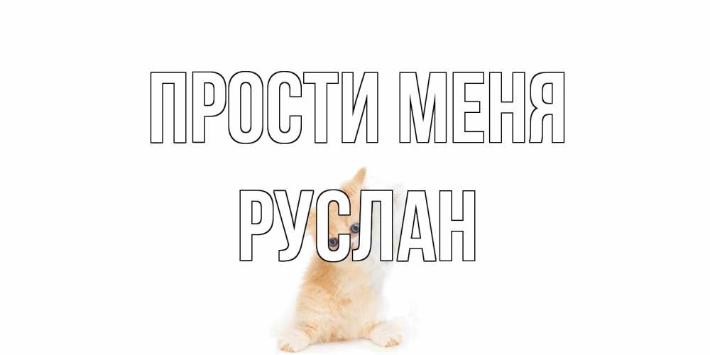 Открытка на каждый день с именем, Руслан Прости меня кот Прикольная открытка с пожеланием онлайн скачать бесплатно 