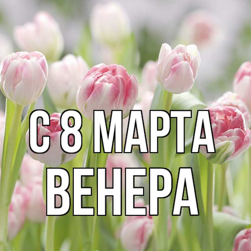 Картинка C 8 МАРТА, Венера