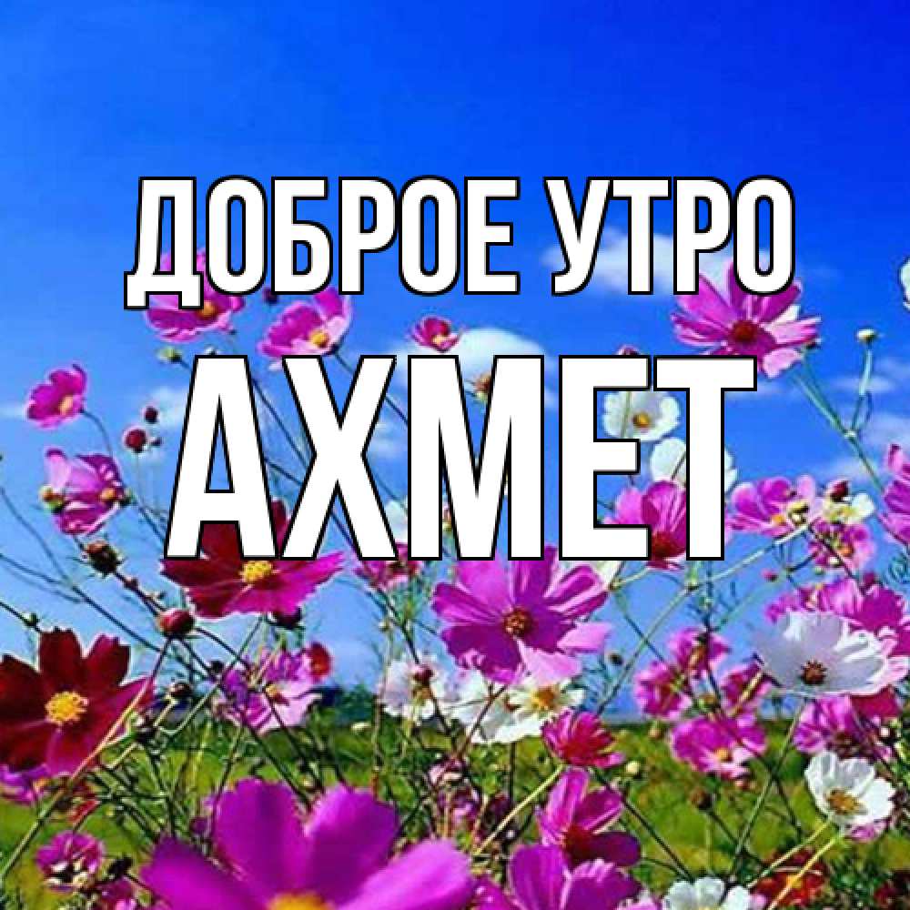 Открытка на каждый день с именем, Ахмет Доброе утро сиреневые цветы Прикольная открытка с пожеланием онлайн скачать бесплатно 