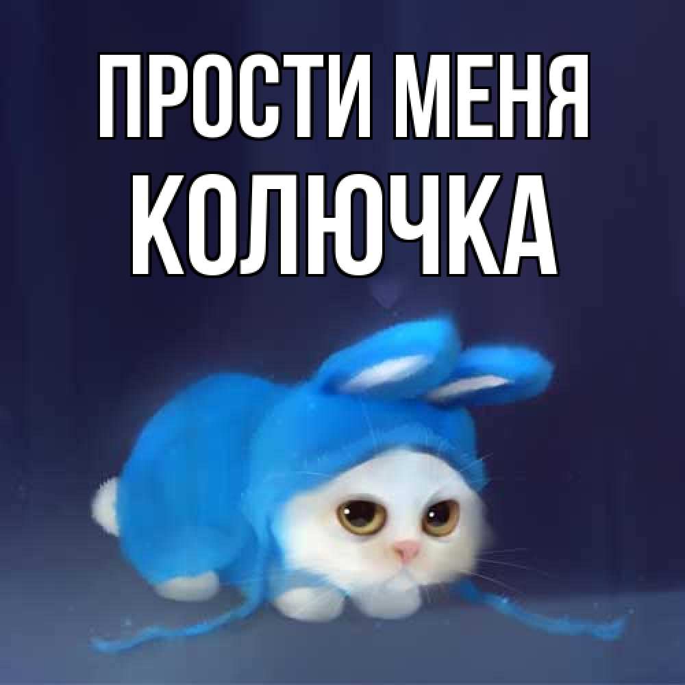 Открытка на каждый день с именем, Колючка Прости меня невинный котозай просит прощения Прикольная открытка с пожеланием онлайн скачать бесплатно 