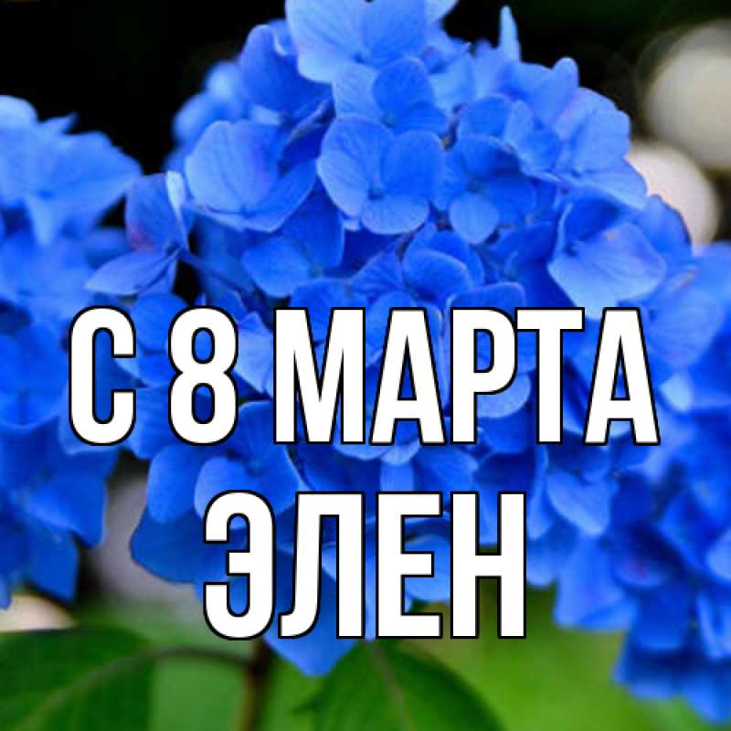 Картинка C 8 МАРТА, Элен