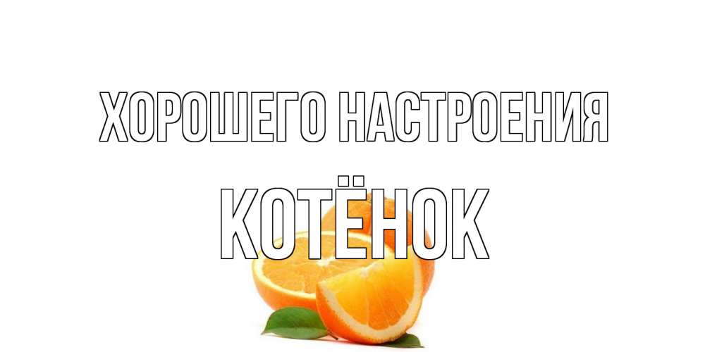 Открытка на каждый день с именем, Котёнок Хорошего настроения мандарин Прикольная открытка с пожеланием онлайн скачать бесплатно 