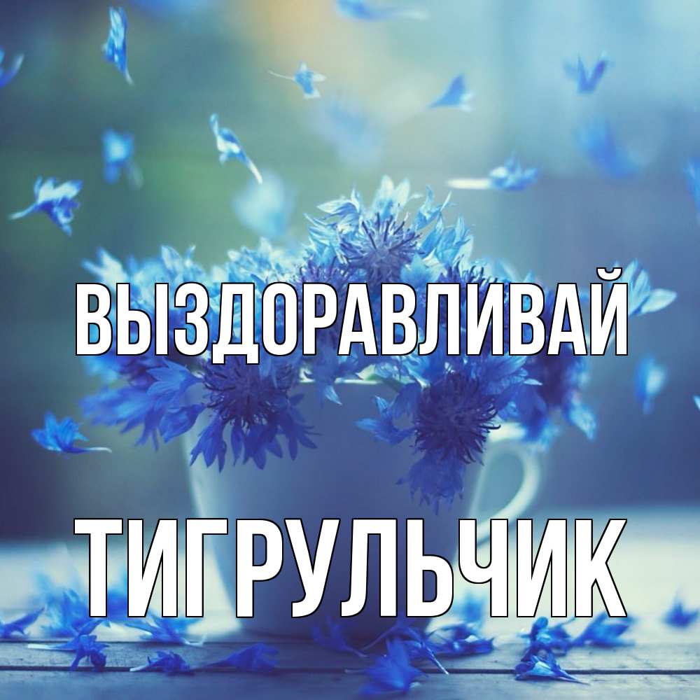 Открытка на каждый день с именем, Тигpульчик Выздоравливай кружка с зельем и цветами Прикольная открытка с пожеланием онлайн скачать бесплатно 