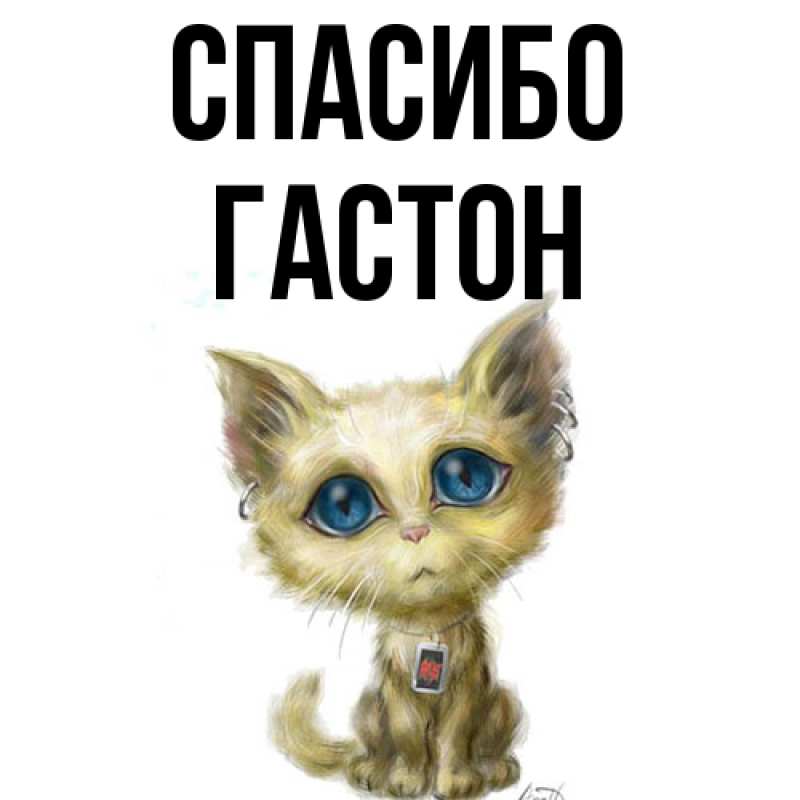 Картинка Спасибо, Гастон