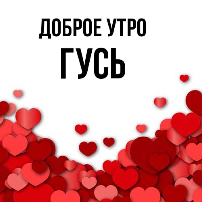 Картинка Доброе утро, Гусь