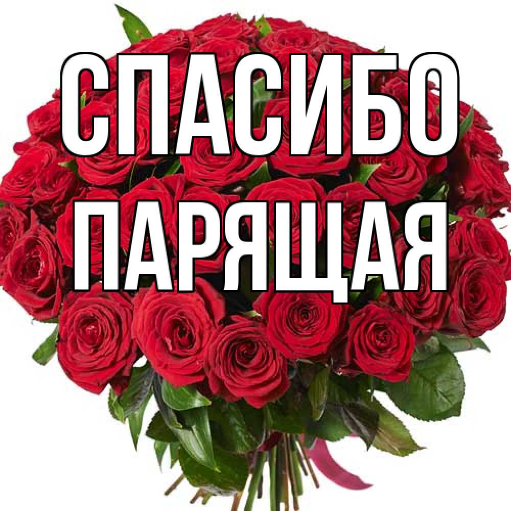 Открытка на каждый день с именем, Парящая Спасибо букет красных роз Прикольная открытка с пожеланием онлайн скачать бесплатно 