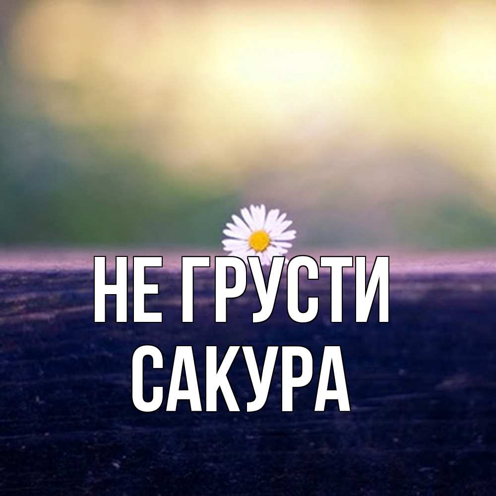 Открытка на каждый день с именем, Сакура Не грусти красота Прикольная открытка с пожеланием онлайн скачать бесплатно 