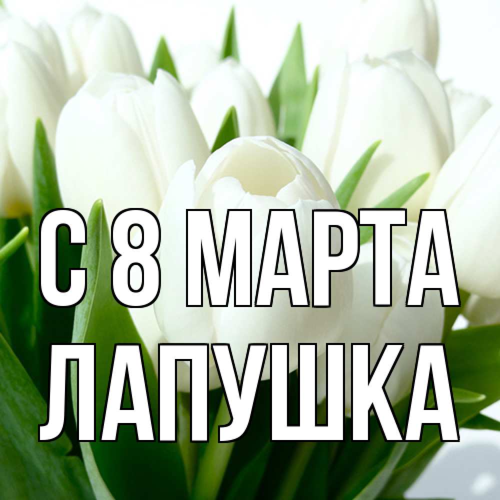 Открытка на каждый день с именем, лапушка C 8 МАРТА цветы Прикольная открытка с пожеланием онлайн скачать бесплатно 