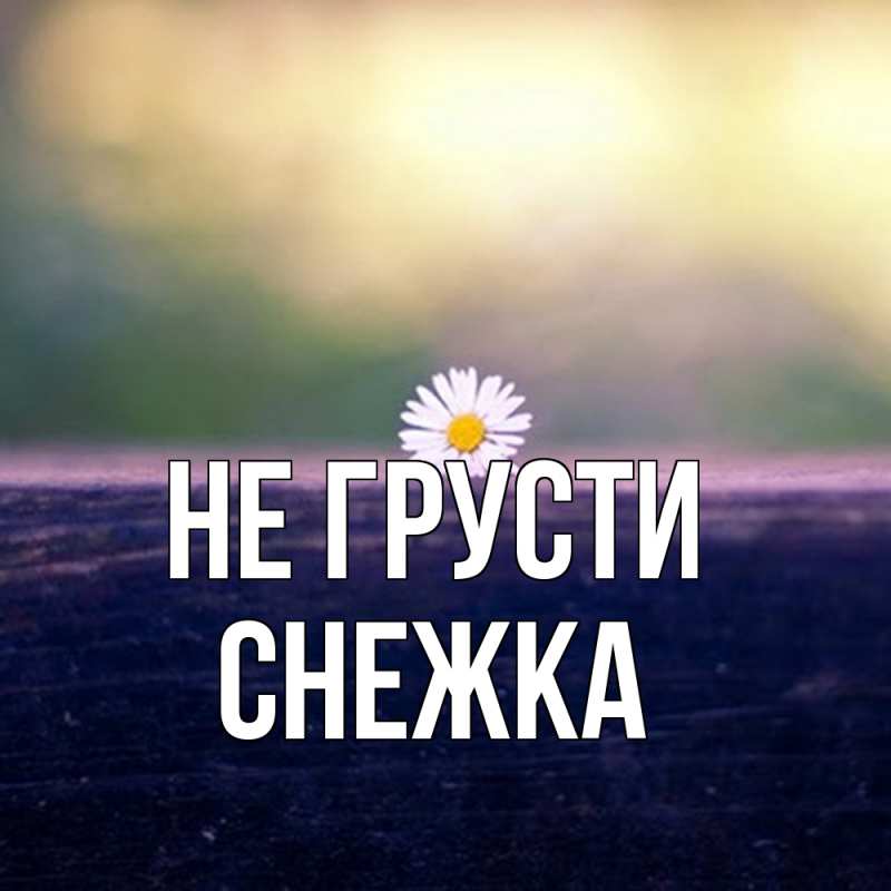 Картинка Не грусти, Снежка