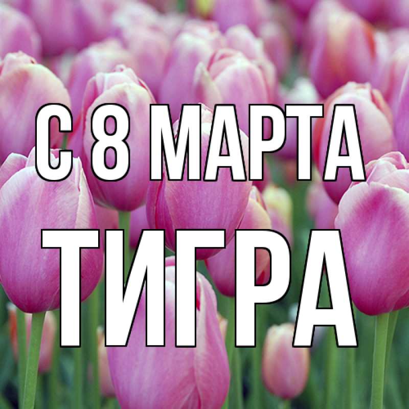Картинка C 8 МАРТА, Тигpа