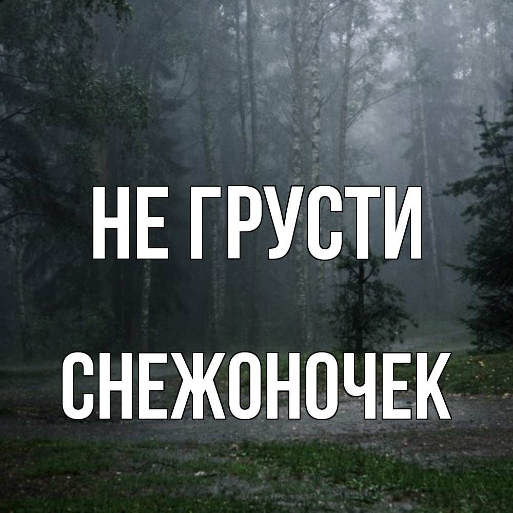 Открытка на каждый день с именем, Снежоночек Не грусти осень Прикольная открытка с пожеланием онлайн скачать бесплатно 