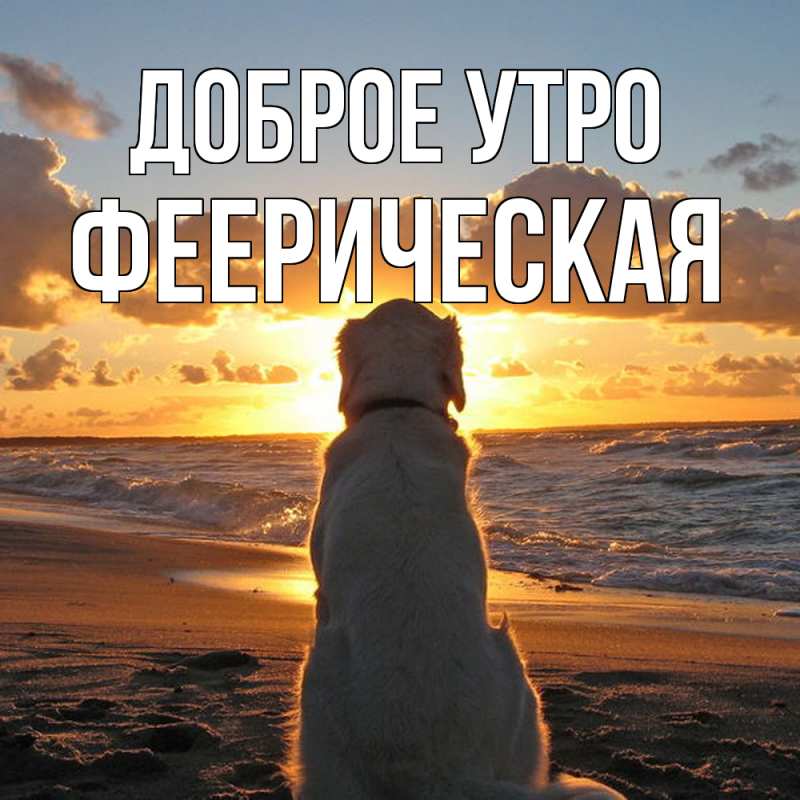 Картинка Доброе утро, Фееpическая