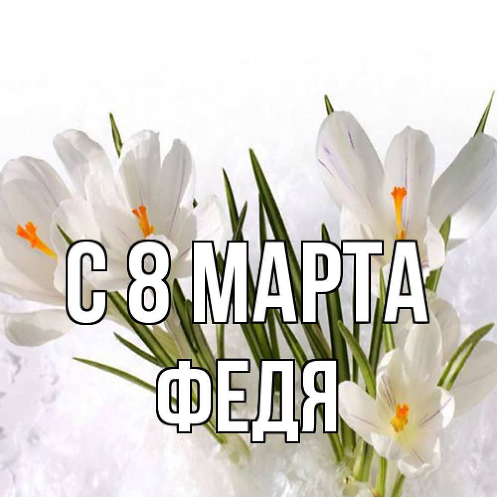 Открытка на каждый день с именем, Федя C 8 МАРТА под снегом Прикольная открытка с пожеланием онлайн скачать бесплатно 