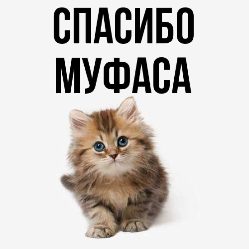Картинка Спасибо, Муфаса