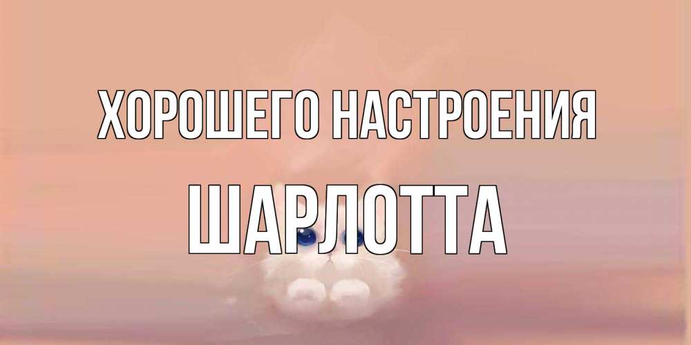 Открытка на каждый день с именем, Шарлотта Хорошего настроения кошка Прикольная открытка с пожеланием онлайн скачать бесплатно 