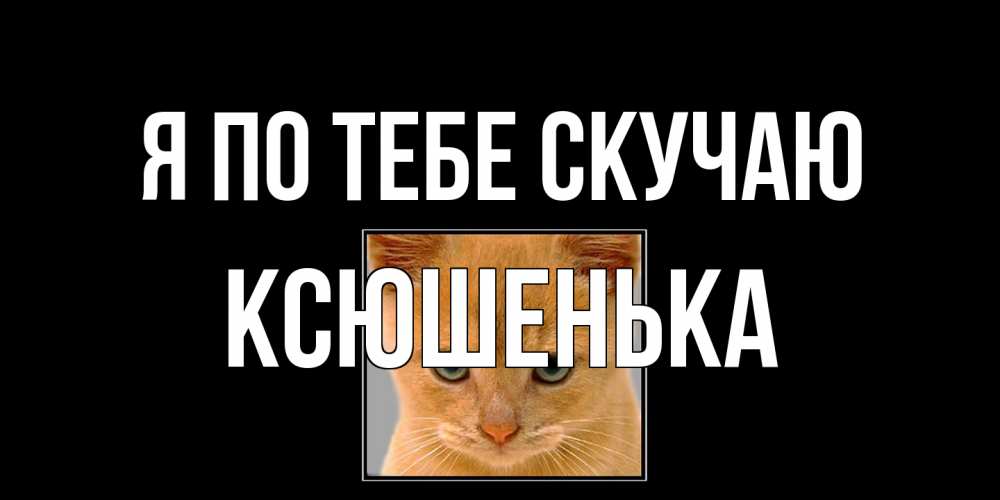 Открытка на каждый день с именем, Ксюшенька Я по тебе скучаю открытки рыжий котенок скучает по тебе Прикольная открытка с пожеланием онлайн скачать бесплатно 