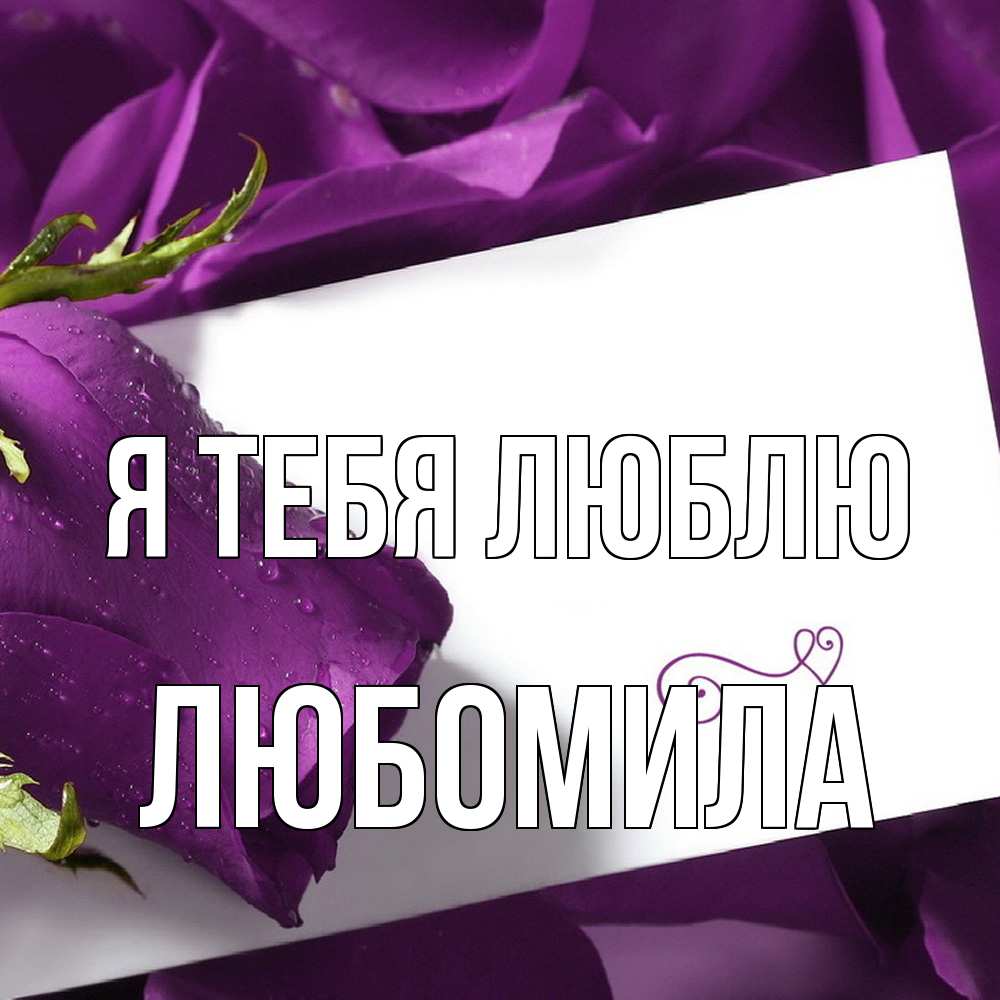 Открытка на каждый день с именем, Любомила Я тебя люблю роза Прикольная открытка с пожеланием онлайн скачать бесплатно 