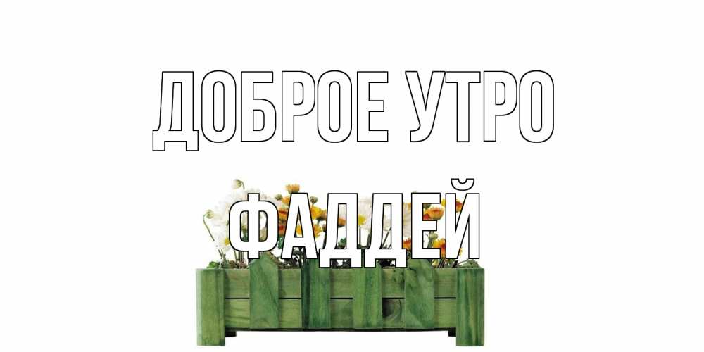Открытка на каждый день с именем, Фаддей Доброе утро цветы Прикольная открытка с пожеланием онлайн скачать бесплатно 