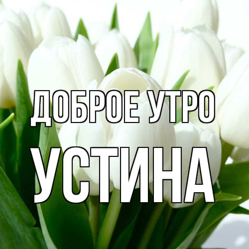 Открытка на каждый день с именем, Устина Доброе утро открытки на каждый день по именам Прикольная открытка с пожеланием онлайн скачать бесплатно 