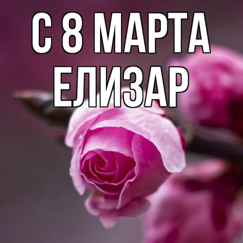 Картинка C 8 МАРТА, Елизар