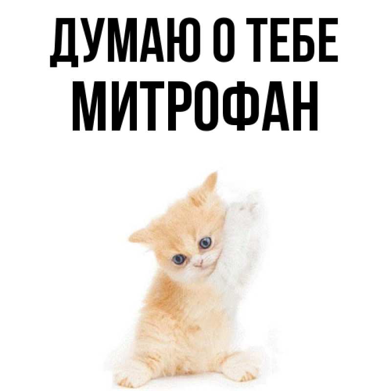 Картинка Думаю о тебе, Митрофан