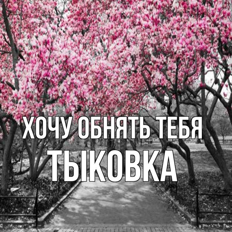 Картинка Хочу обнять тебя, тыковка
