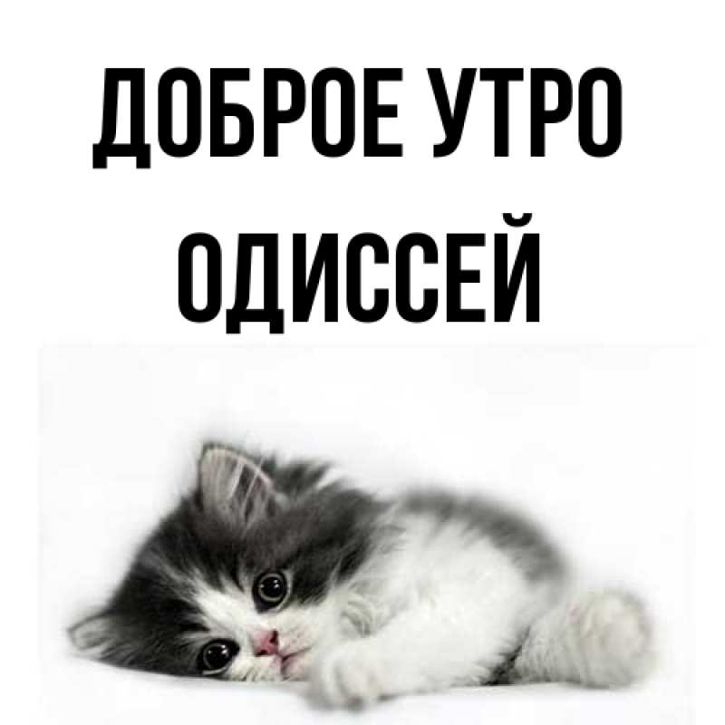 Картинка Доброе утро, Одиссей