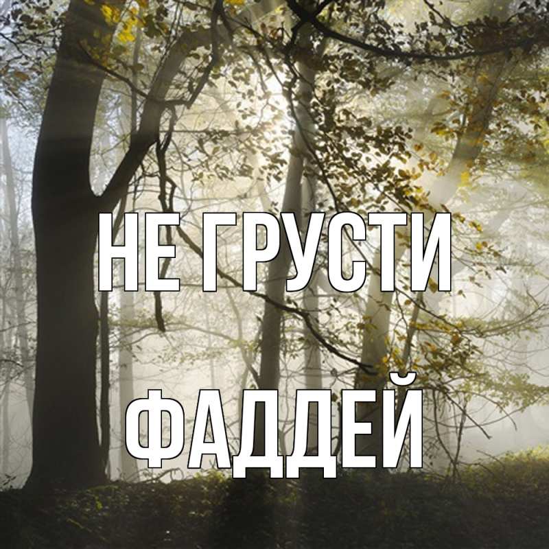 Картинка Не грусти, Фаддей