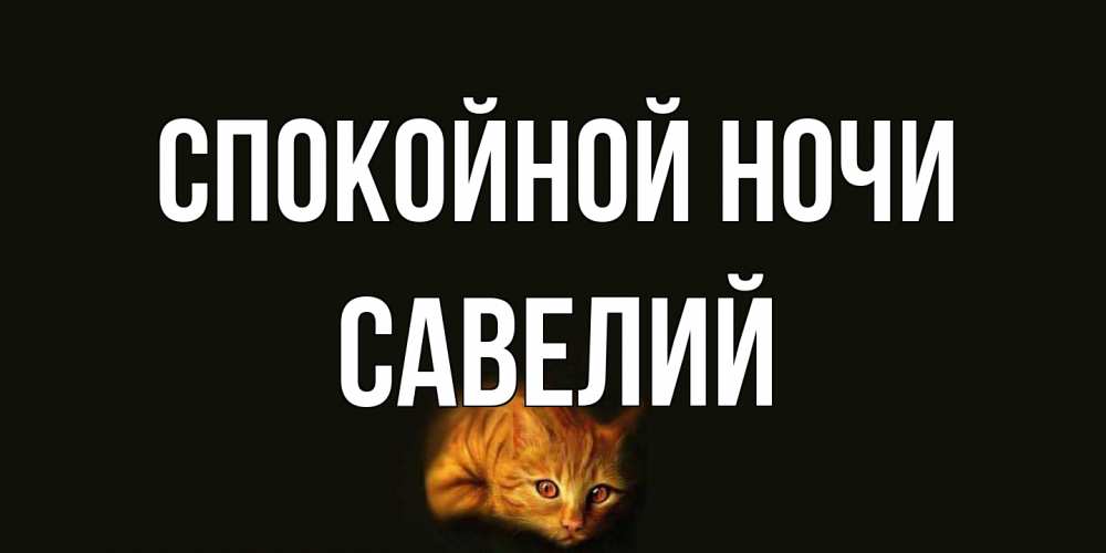 Открытка на каждый день с именем, Савелий Спокойной ночи кот Прикольная открытка с пожеланием онлайн скачать бесплатно 