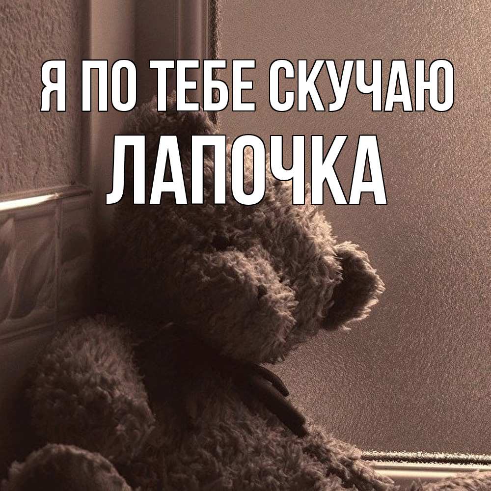 Открытка на каждый день с именем, лапочка Я по тебе скучаю скучаем тут Прикольная открытка с пожеланием онлайн скачать бесплатно 