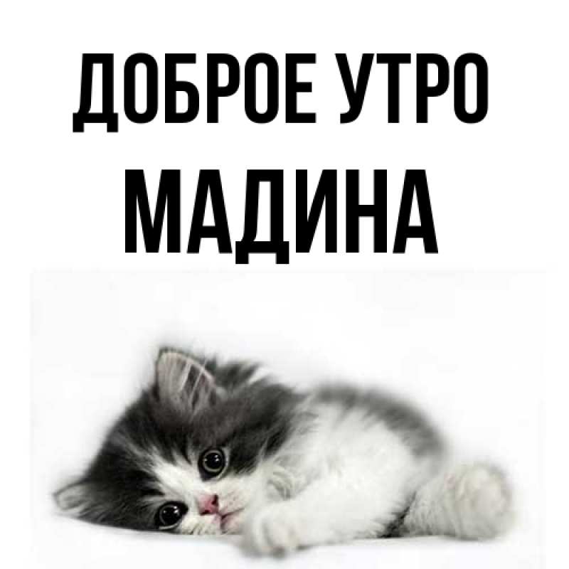 Картинка Доброе утро, Мадина