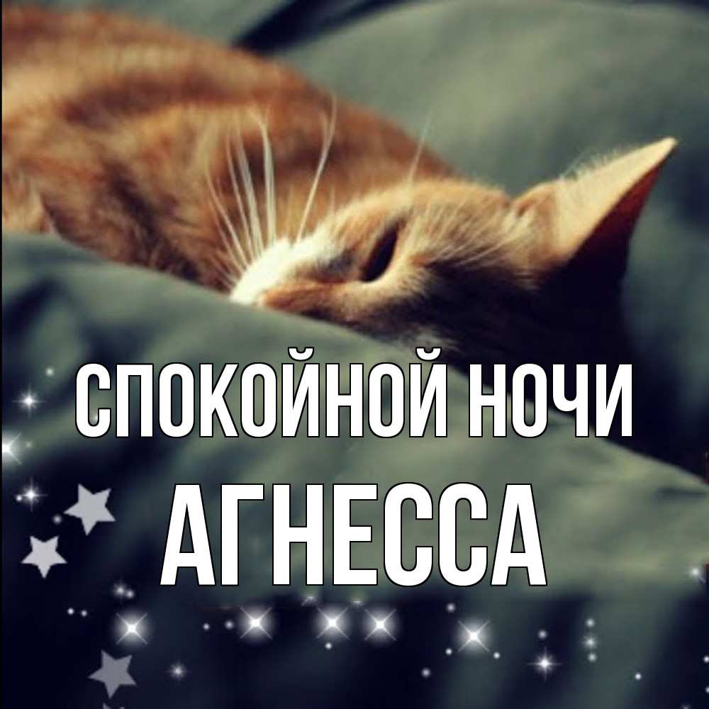Открытка на каждый день с именем, Агнесса Спокойной ночи кроватка Прикольная открытка с пожеланием онлайн скачать бесплатно 