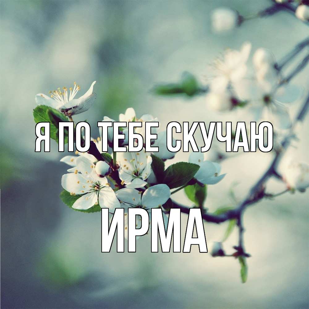 Открытка на каждый день с именем, Ирма Я по тебе скучаю весна Прикольная открытка с пожеланием онлайн скачать бесплатно 