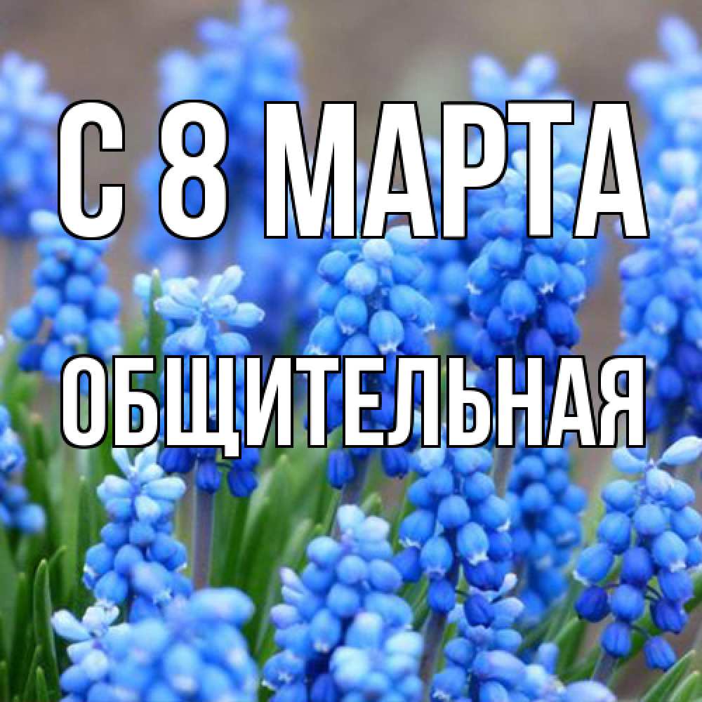 Открытка на каждый день с именем, Общительная C 8 МАРТА Поздравительная открытка для женщин с цветами на праздничную дату Прикольная открытка с пожеланием онлайн скачать бесплатно 